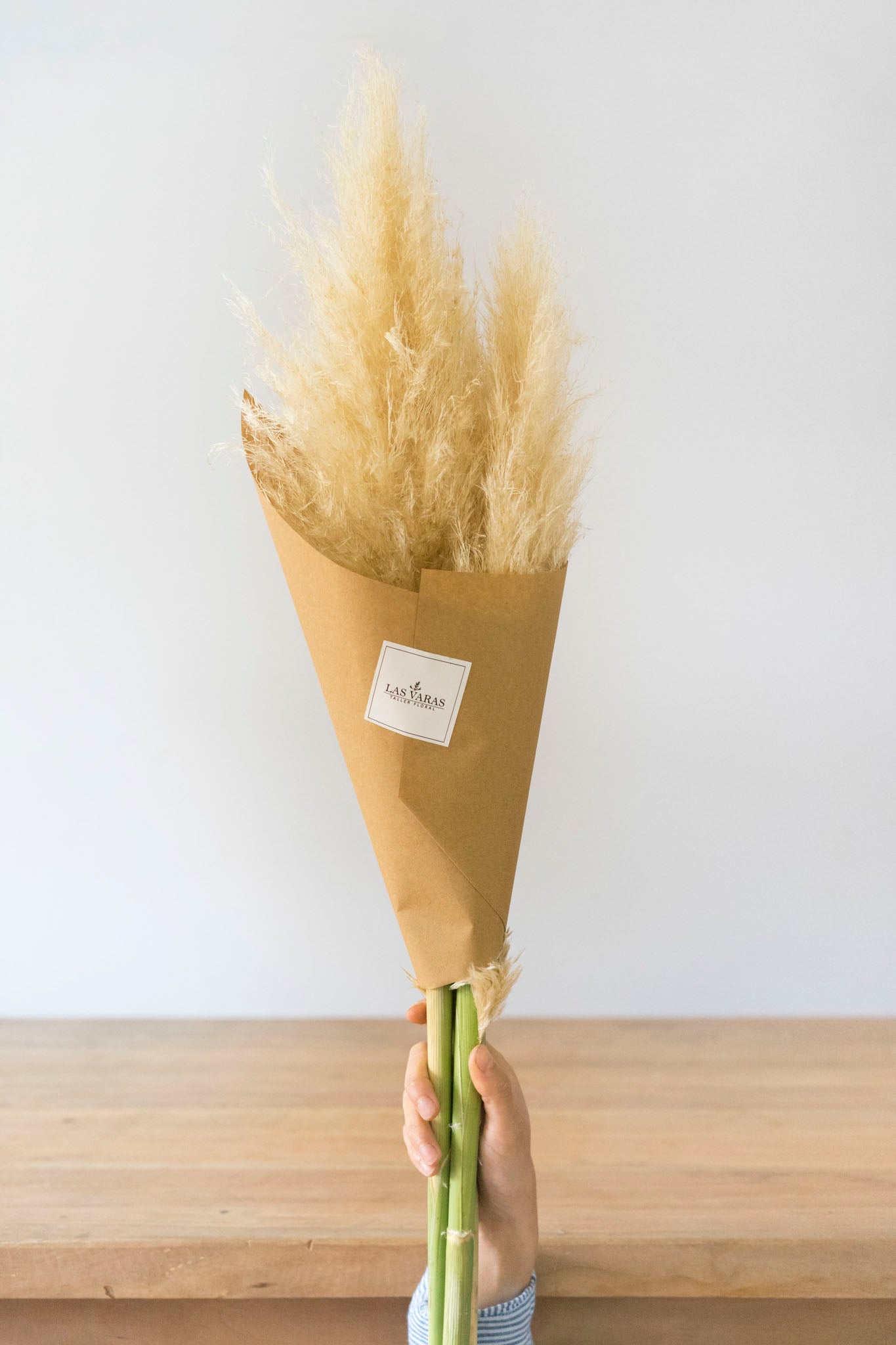 COLAS DE ZORRO (unidad)