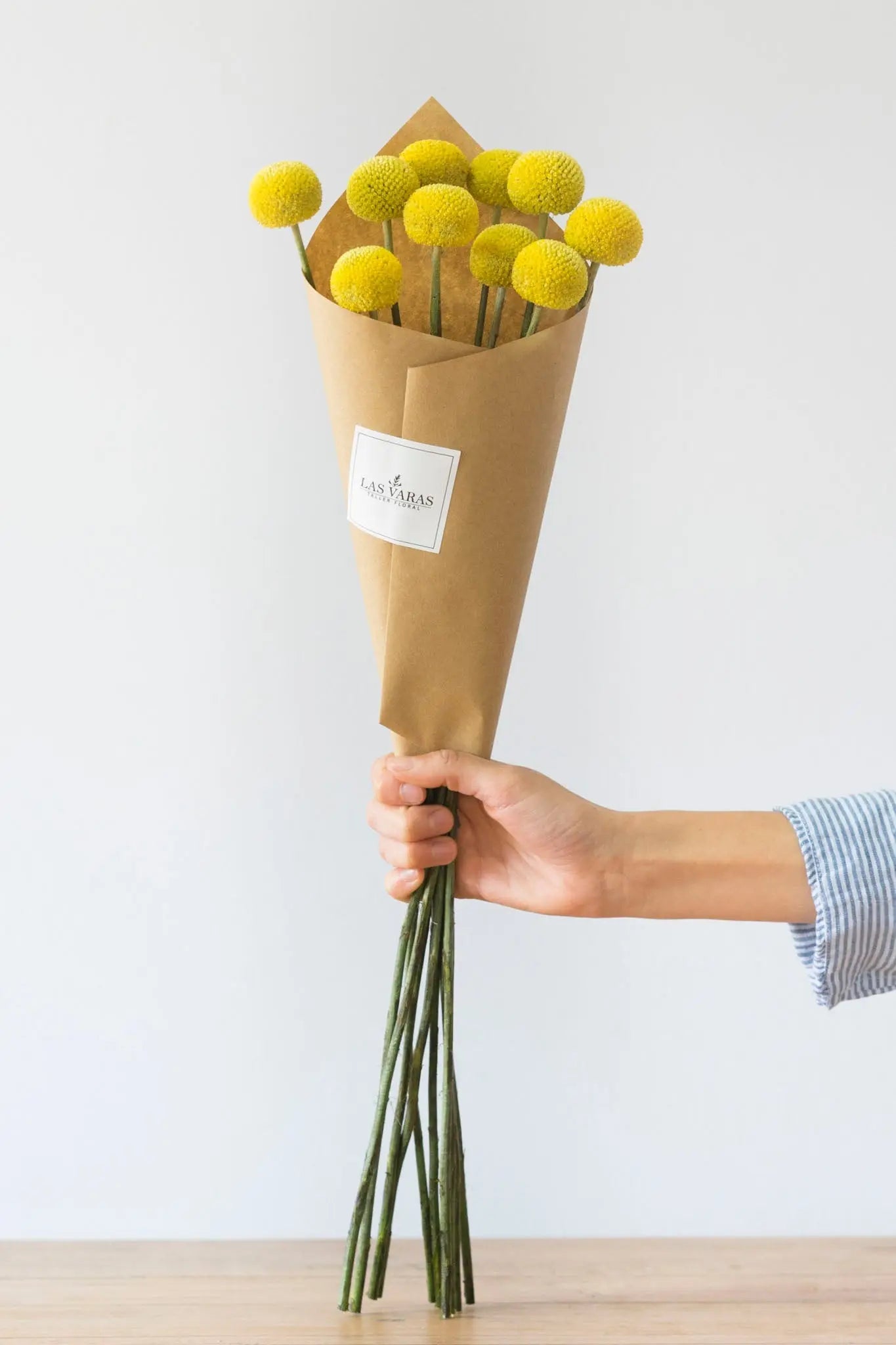 Craspedias (10 Unidades) - Flores Las Varas