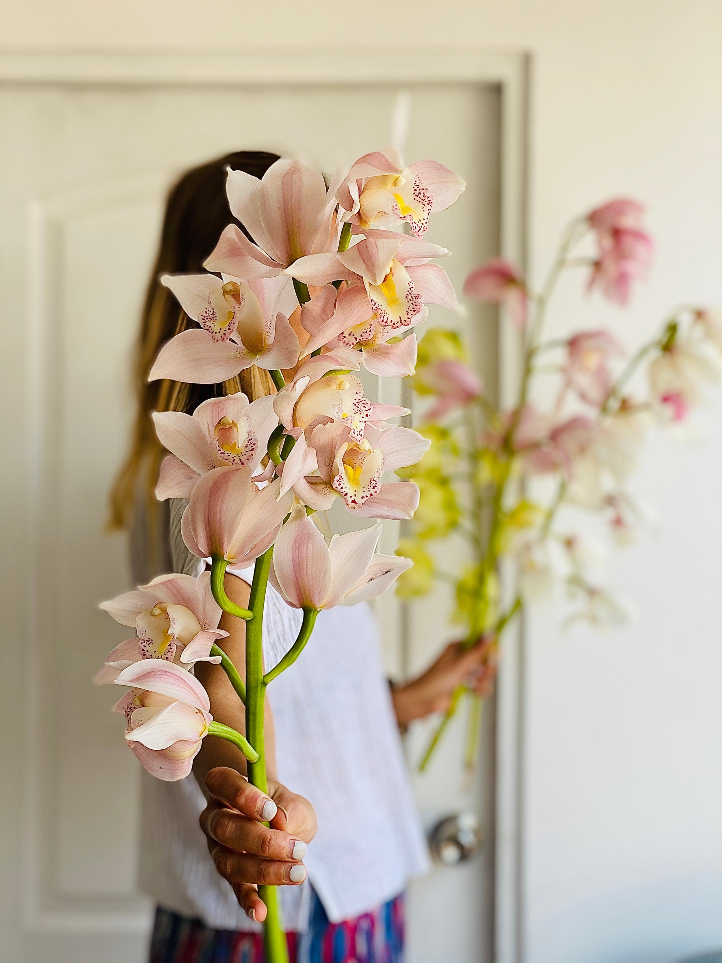 ORQUÍDEA CYMBIDIUM