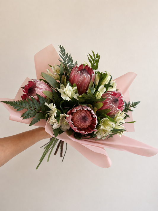 Proteas Y Astromelias