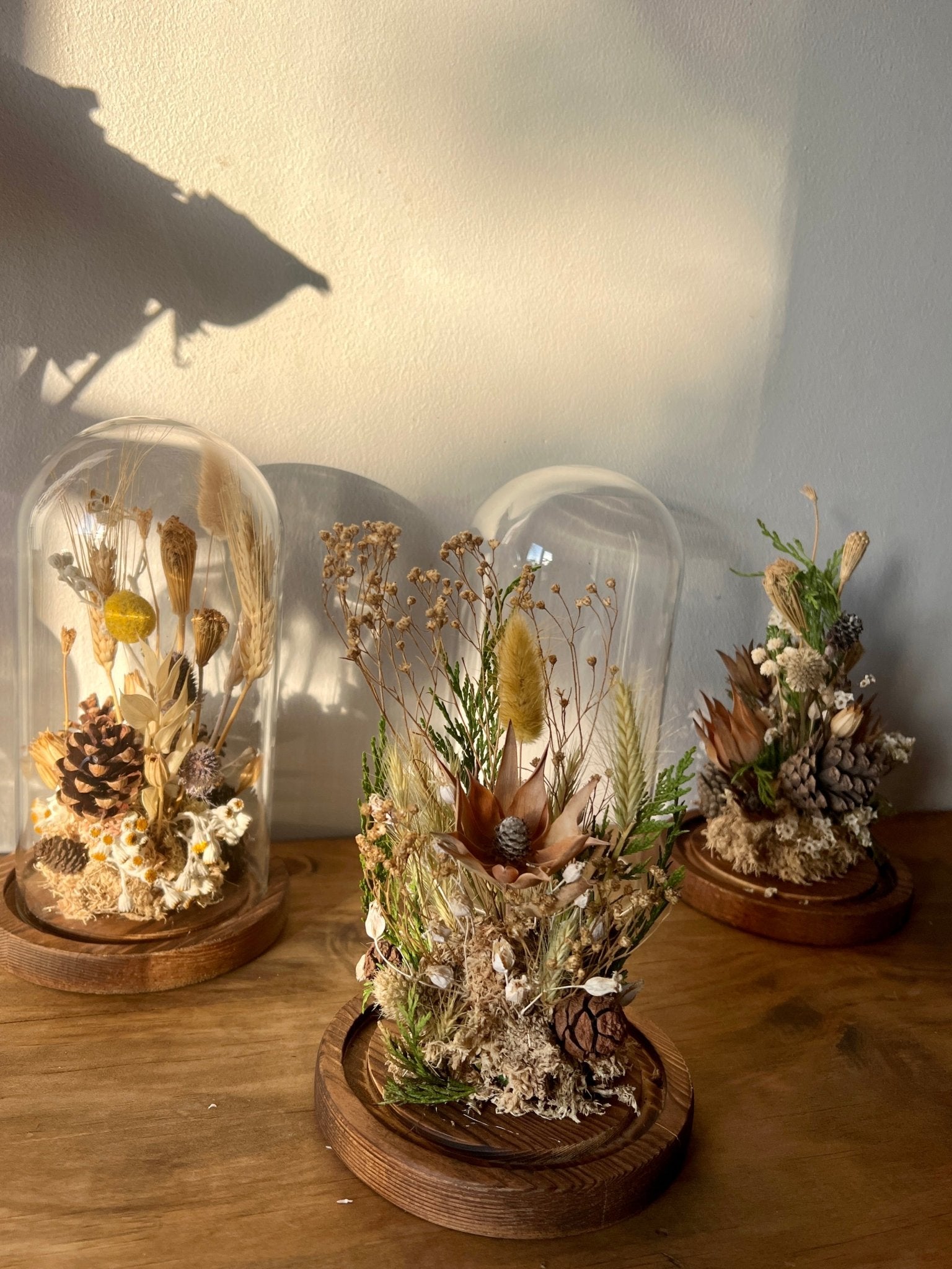 Fanal de Flores Secas N1 - Flores Las Varas