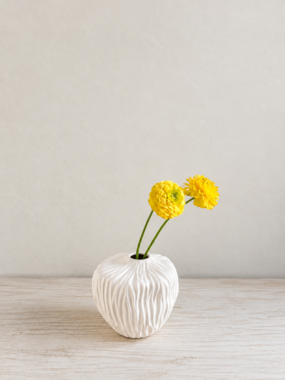 Florero Changle