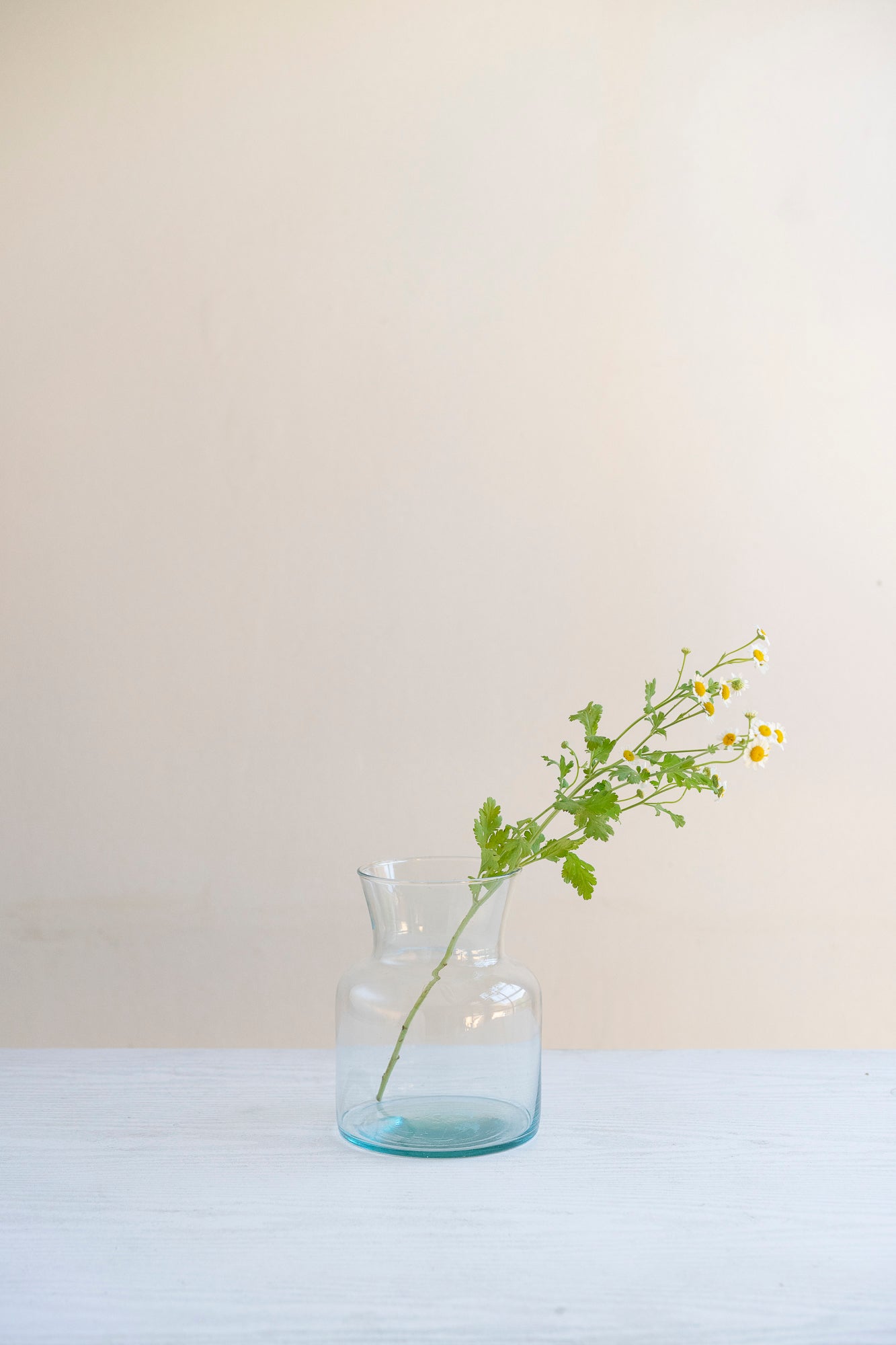 Florero lechero de vidrio con flores frescas en vista decorativa