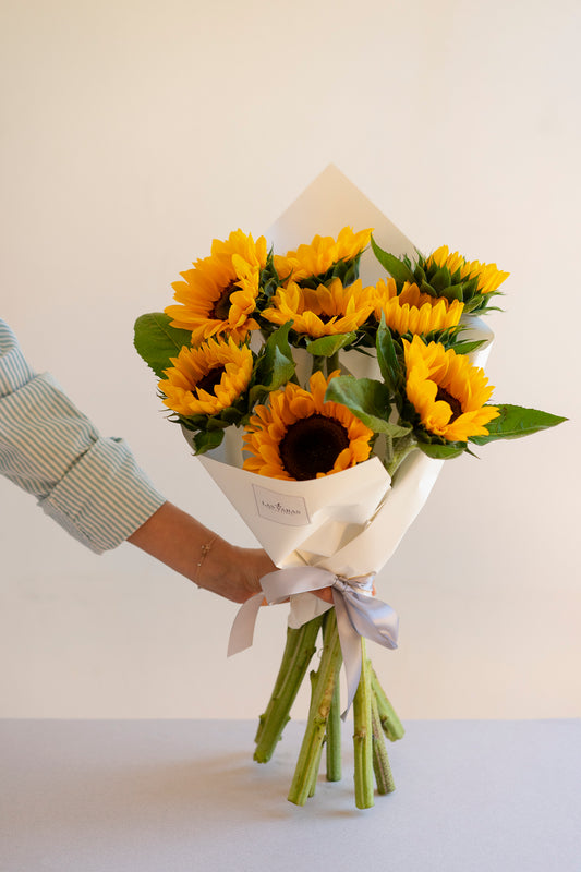 Girasoles