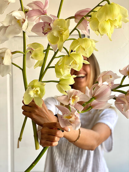 ORQUÍDEA CYMBIDIUM